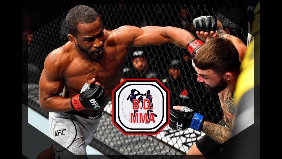 Geoff Neal Against Ufc Welterweight Mike Perry.